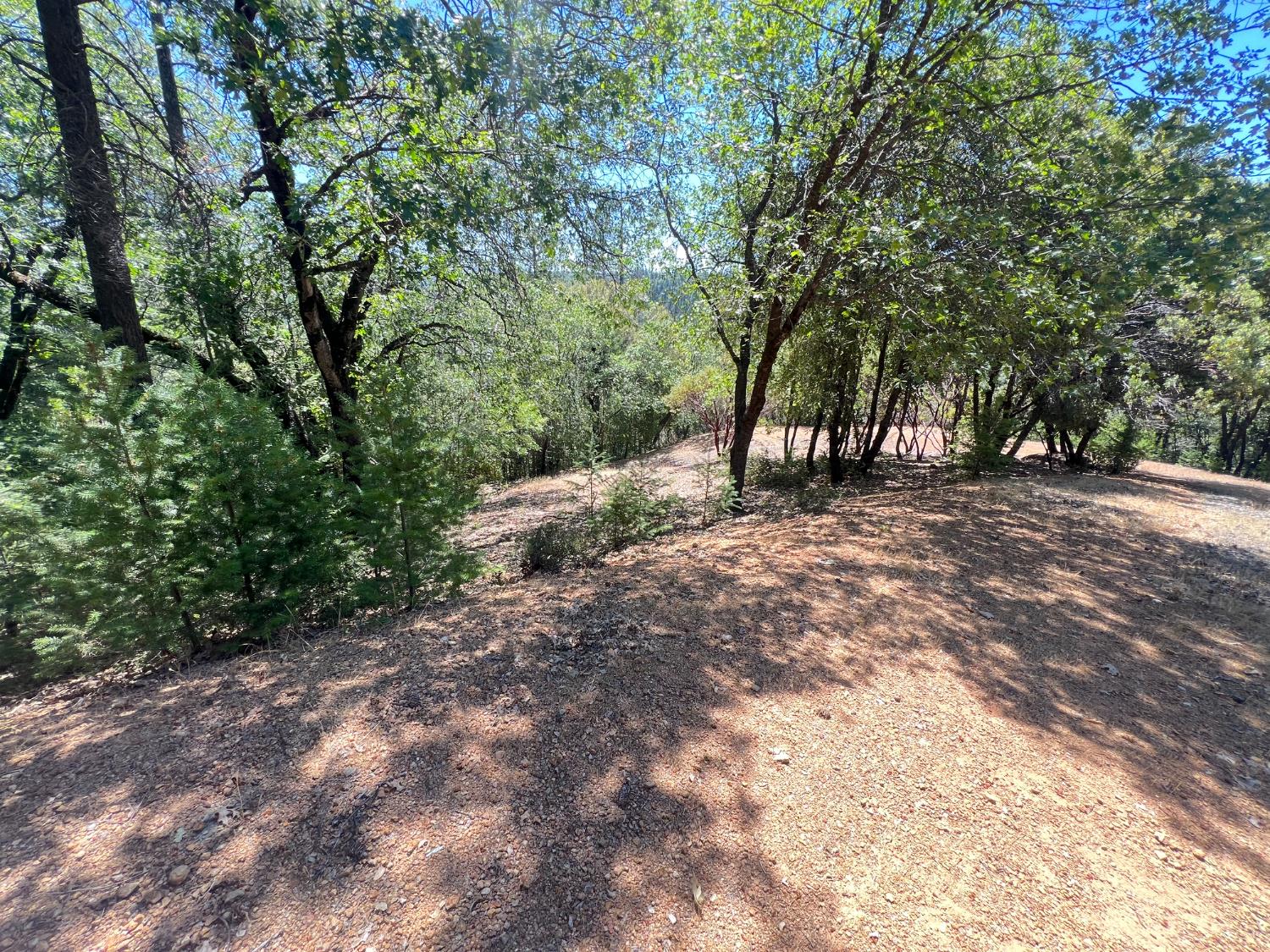Detail Gallery Image 15 of 17 For 0 Live Oak Rd, Colfax,  CA 95713 - – Beds | – Baths