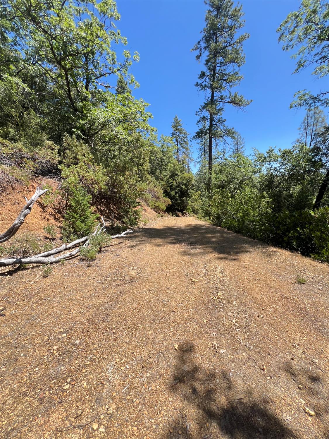 Detail Gallery Image 8 of 17 For 0 Live Oak Rd, Colfax,  CA 95713 - – Beds | – Baths