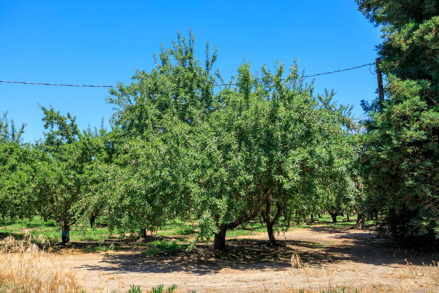 Detail Gallery Image 88 of 88 For 1800 Sperry Rd, Hughson,  CA 95326 - 3 Beds | 3/1 Baths