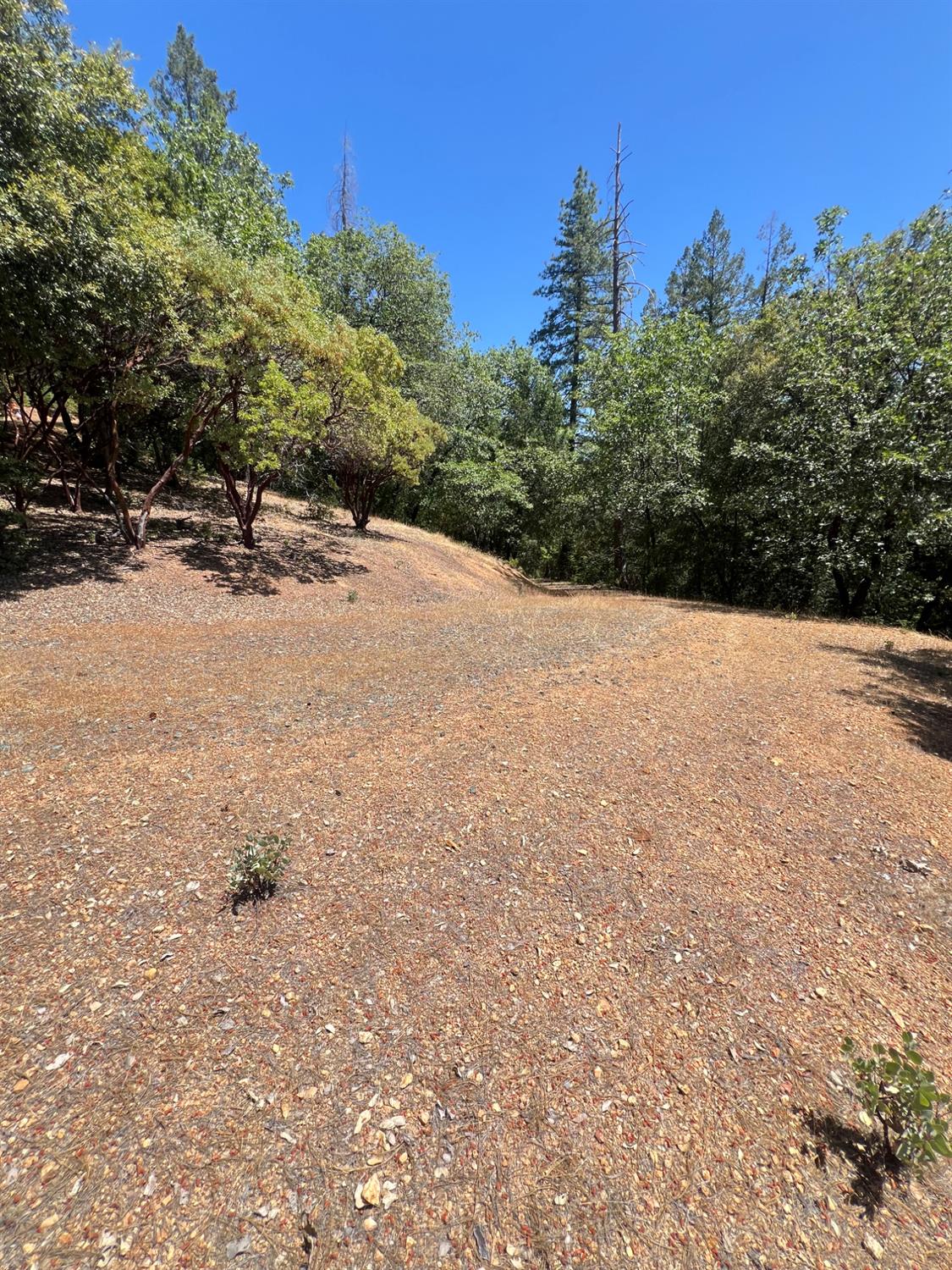 Detail Gallery Image 13 of 17 For 0 Live Oak Rd, Colfax,  CA 95713 - – Beds | – Baths
