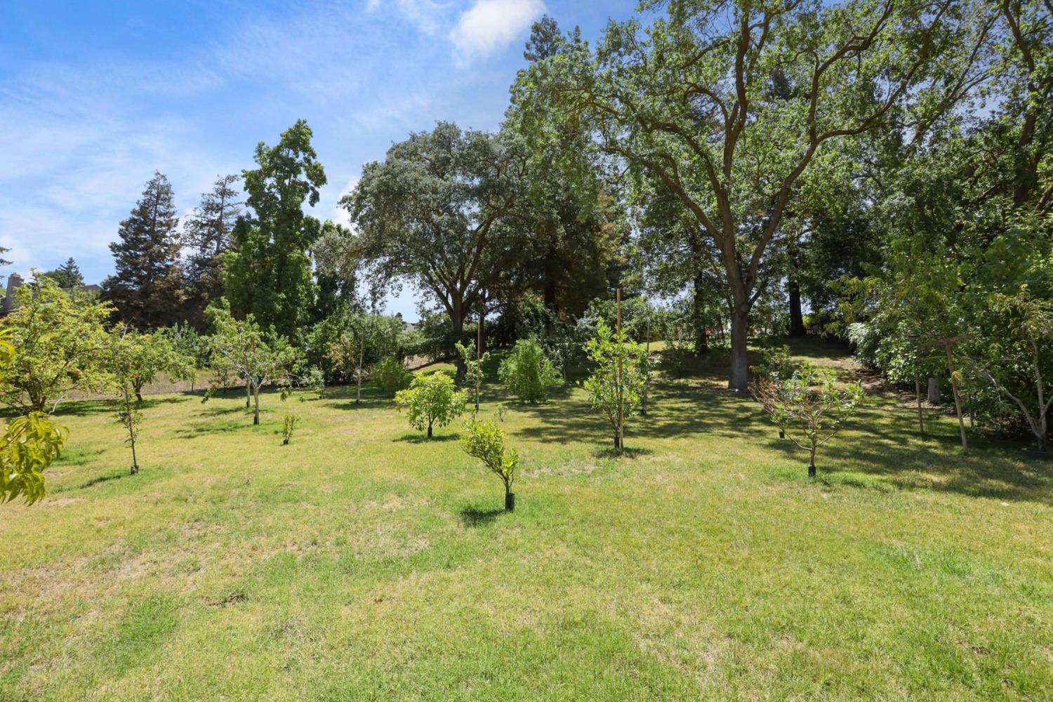 Detail Gallery Image 62 of 97 For 1717 Edgebrook Dr, Modesto,  CA 95354 - 4 Beds | 3/1 Baths