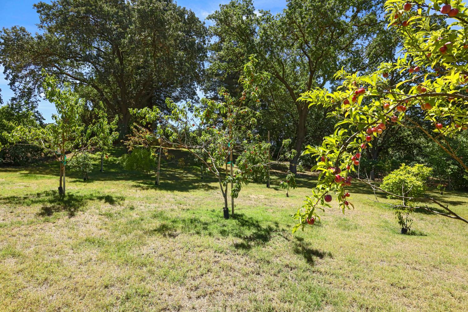 Detail Gallery Image 64 of 97 For 1717 Edgebrook Dr, Modesto,  CA 95354 - 4 Beds | 3/1 Baths