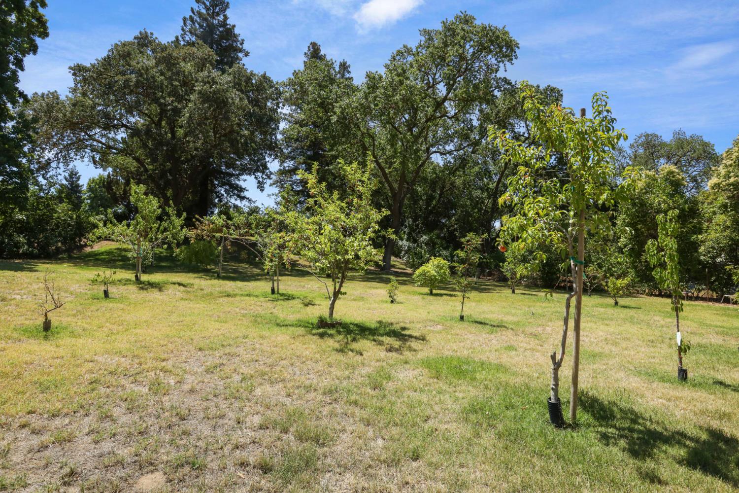 Detail Gallery Image 63 of 97 For 1717 Edgebrook Dr, Modesto,  CA 95354 - 4 Beds | 3/1 Baths