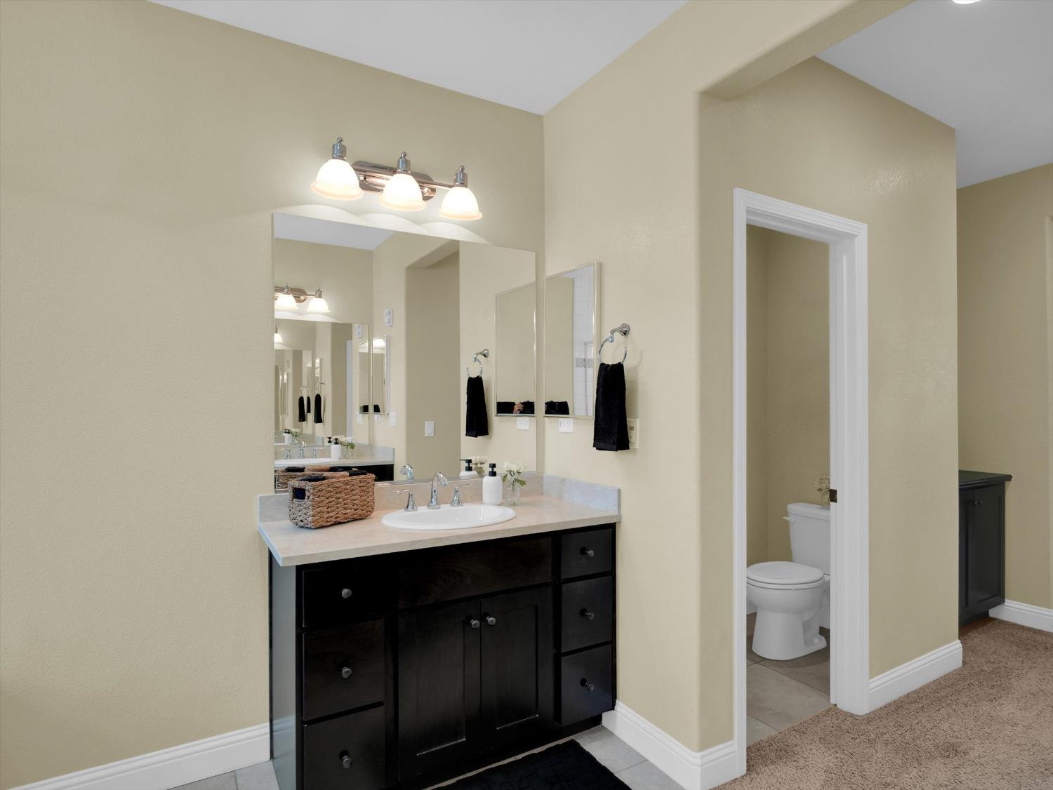 Detail Gallery Image 51 of 61 For 582 Pasture Ave, Lathrop,  CA 95330 - 4 Beds | 3 Baths