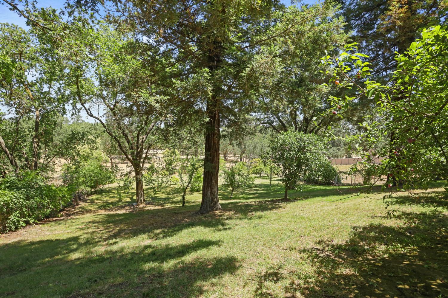 Detail Gallery Image 74 of 97 For 1717 Edgebrook Dr, Modesto,  CA 95354 - 4 Beds | 3/1 Baths