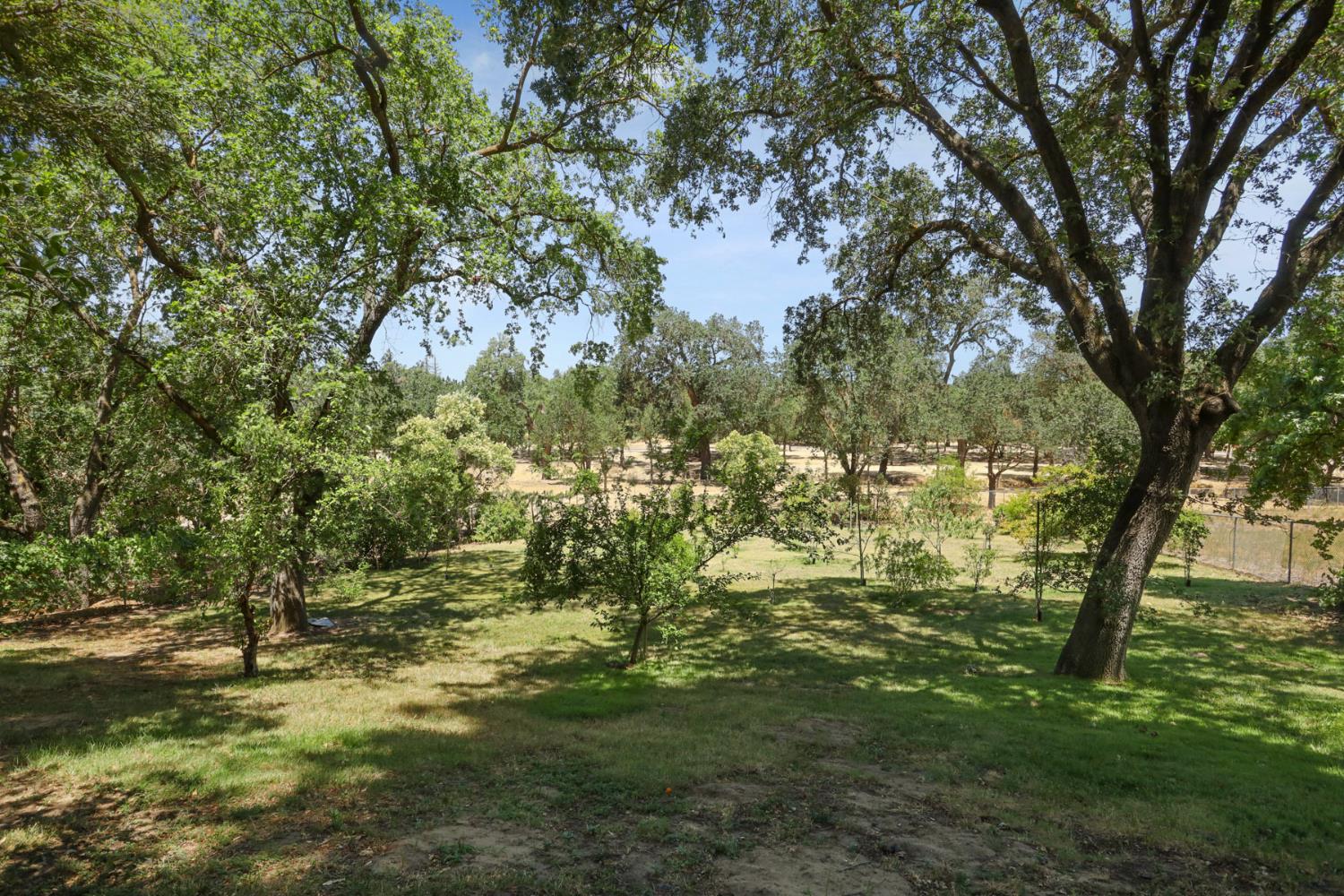 Detail Gallery Image 59 of 97 For 1717 Edgebrook Dr, Modesto,  CA 95354 - 4 Beds | 3/1 Baths