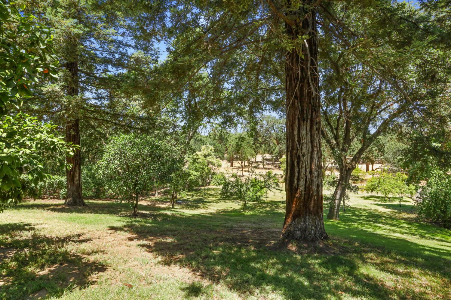 Detail Gallery Image 58 of 97 For 1717 Edgebrook Dr, Modesto,  CA 95354 - 4 Beds | 3/1 Baths