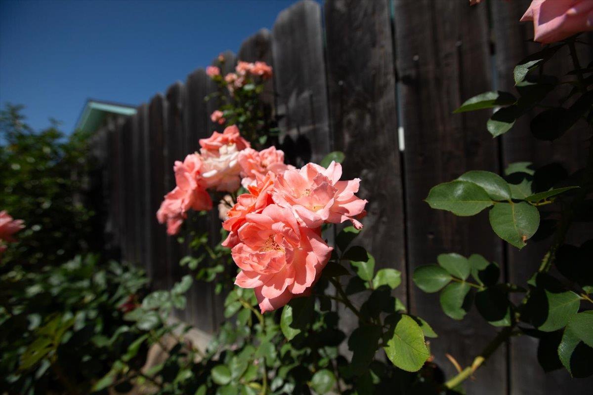 Detail Gallery Image 56 of 59 For 1109 Valeriewood Way, Modesto,  CA 95355 - 3 Beds | 2 Baths