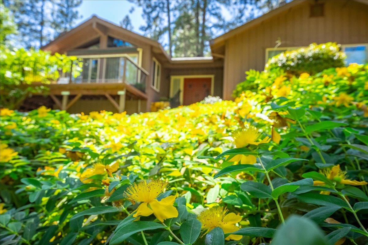Detail Gallery Image 15 of 78 For 3010 Evergreen Ct, Georgetown,  CA 95634 - 3 Beds | 2 Baths