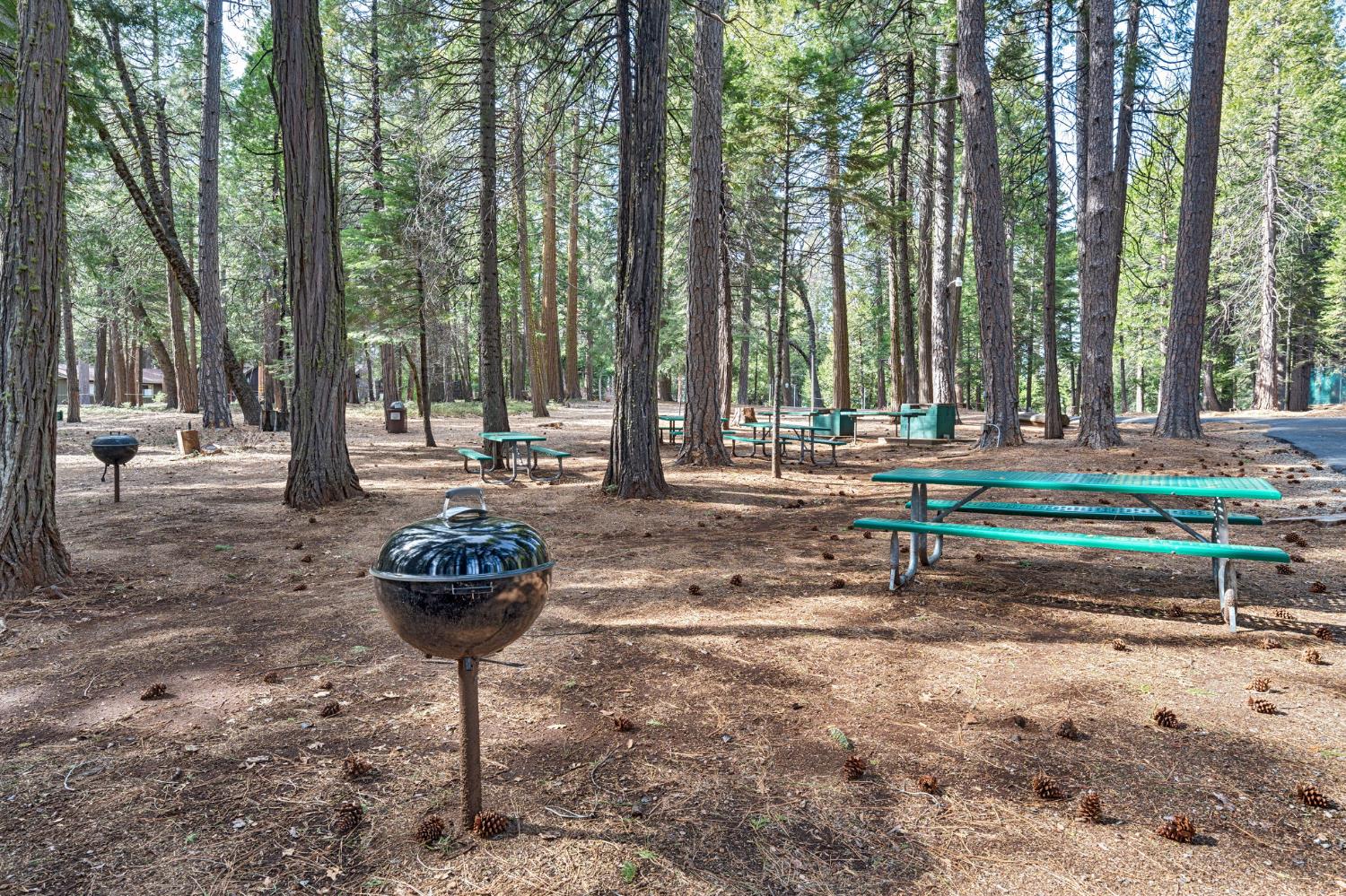 Detail Gallery Image 53 of 57 For 6337 Topaz Dr, Pollock Pines,  CA 95726 - 4 Beds | 3 Baths