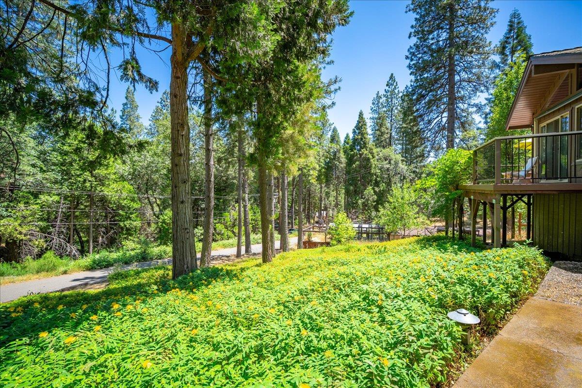 Detail Gallery Image 73 of 78 For 3010 Evergreen Ct, Georgetown,  CA 95634 - 3 Beds | 2 Baths