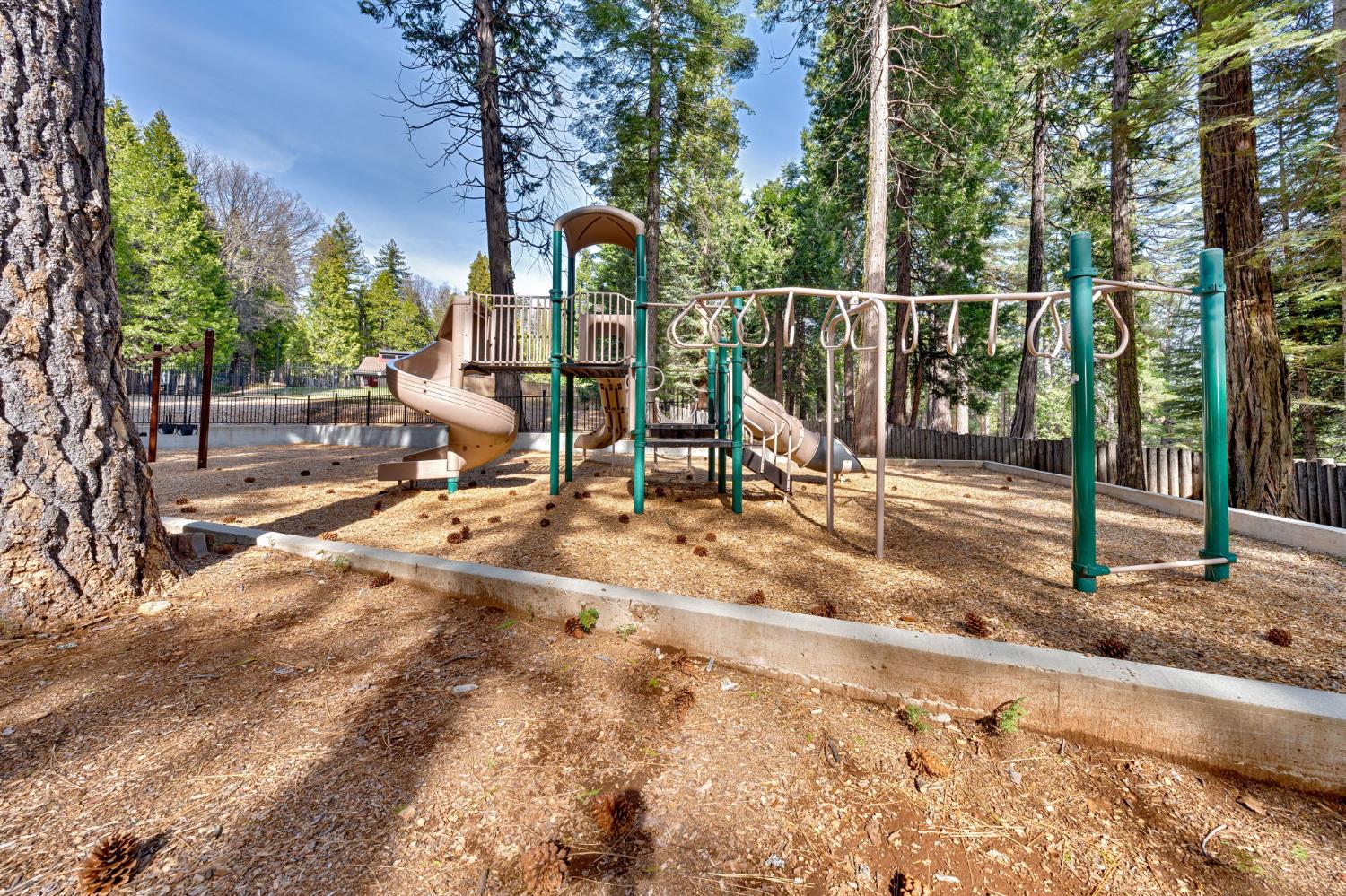 Detail Gallery Image 51 of 57 For 6337 Topaz Dr, Pollock Pines,  CA 95726 - 4 Beds | 3 Baths