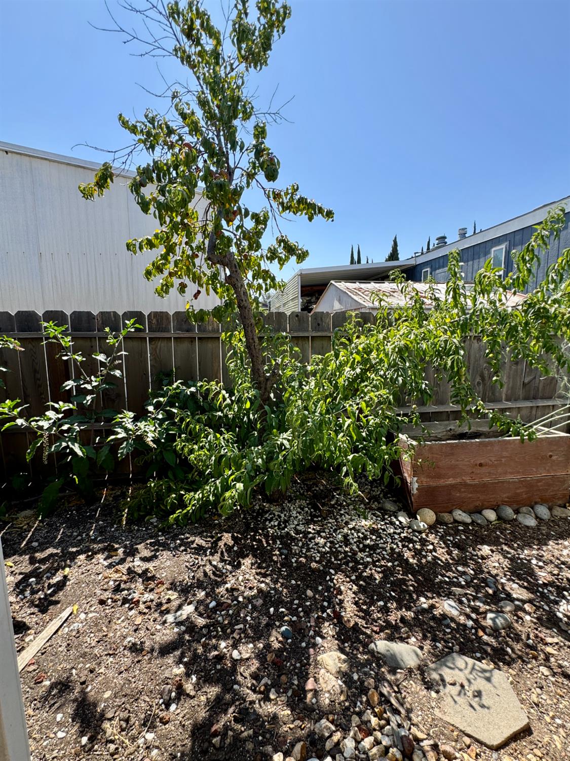 Detail Gallery Image 6 of 21 For 1830 E Yosemite Ave #84, Manteca,  CA 95336 - 2 Beds | 1/1 Baths