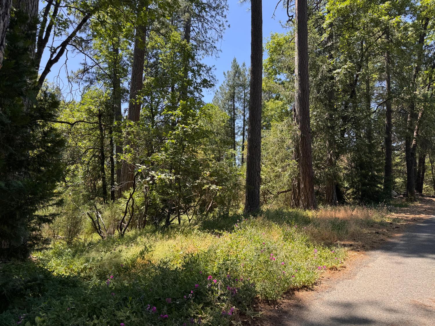 Detail Gallery Image 2 of 14 For 0 Green Acres Rd, Colfax,  CA 95713 - – Beds | – Baths