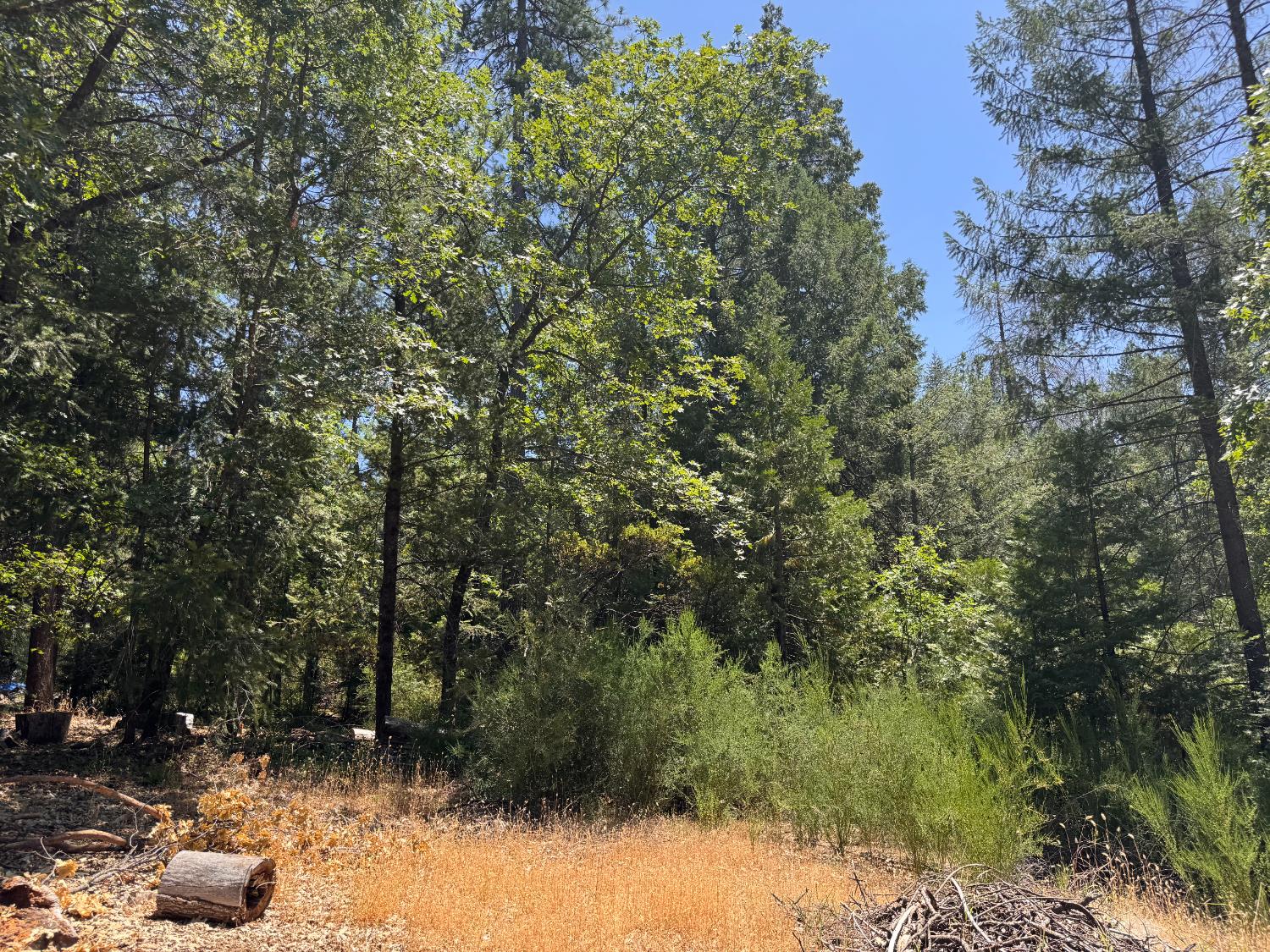 Detail Gallery Image 8 of 14 For 0 Green Acres Rd, Colfax,  CA 95713 - – Beds | – Baths