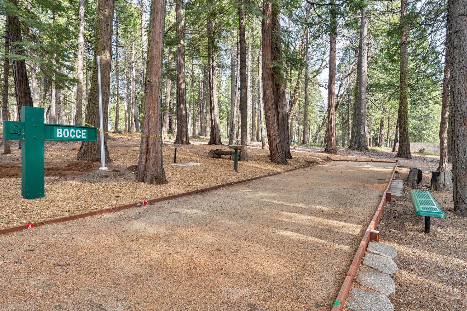 Detail Gallery Image 54 of 57 For 6337 Topaz Dr, Pollock Pines,  CA 95726 - 4 Beds | 3 Baths