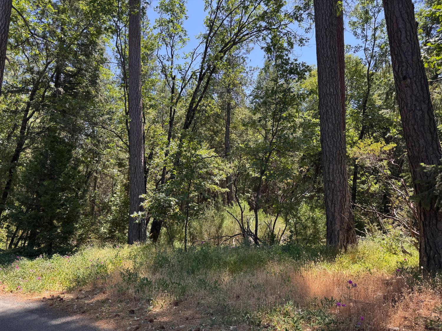 Detail Gallery Image 3 of 14 For 0 Green Acres Rd, Colfax,  CA 95713 - – Beds | – Baths
