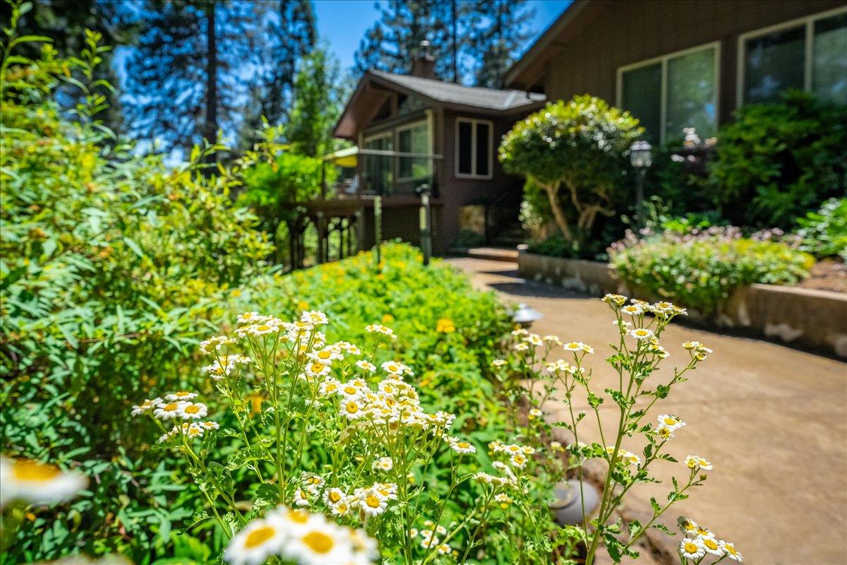 Detail Gallery Image 14 of 78 For 3010 Evergreen Ct, Georgetown,  CA 95634 - 3 Beds | 2 Baths