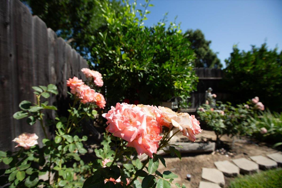 Detail Gallery Image 55 of 59 For 1109 Valeriewood Way, Modesto,  CA 95355 - 3 Beds | 2 Baths