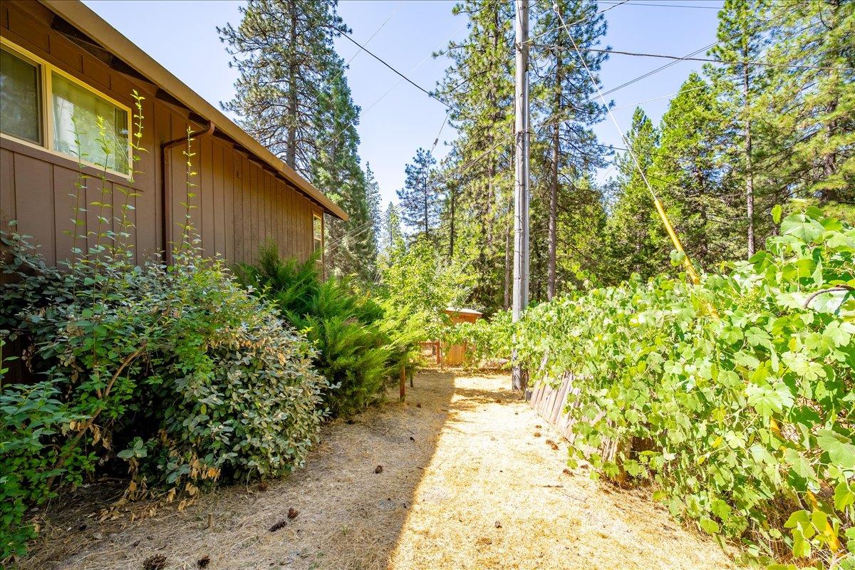 Detail Gallery Image 20 of 78 For 3010 Evergreen Ct, Georgetown,  CA 95634 - 3 Beds | 2 Baths
