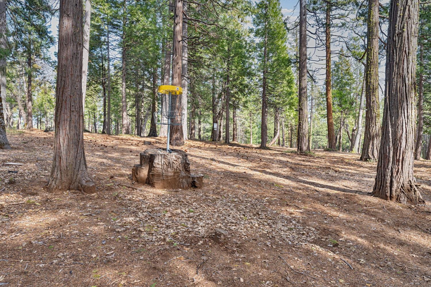 Detail Gallery Image 55 of 57 For 6337 Topaz Dr, Pollock Pines,  CA 95726 - 4 Beds | 3 Baths