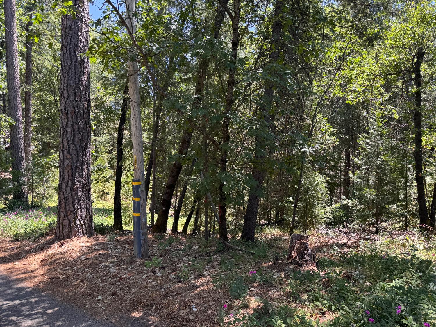 Detail Gallery Image 10 of 14 For 0 Green Acres Rd, Colfax,  CA 95713 - – Beds | – Baths