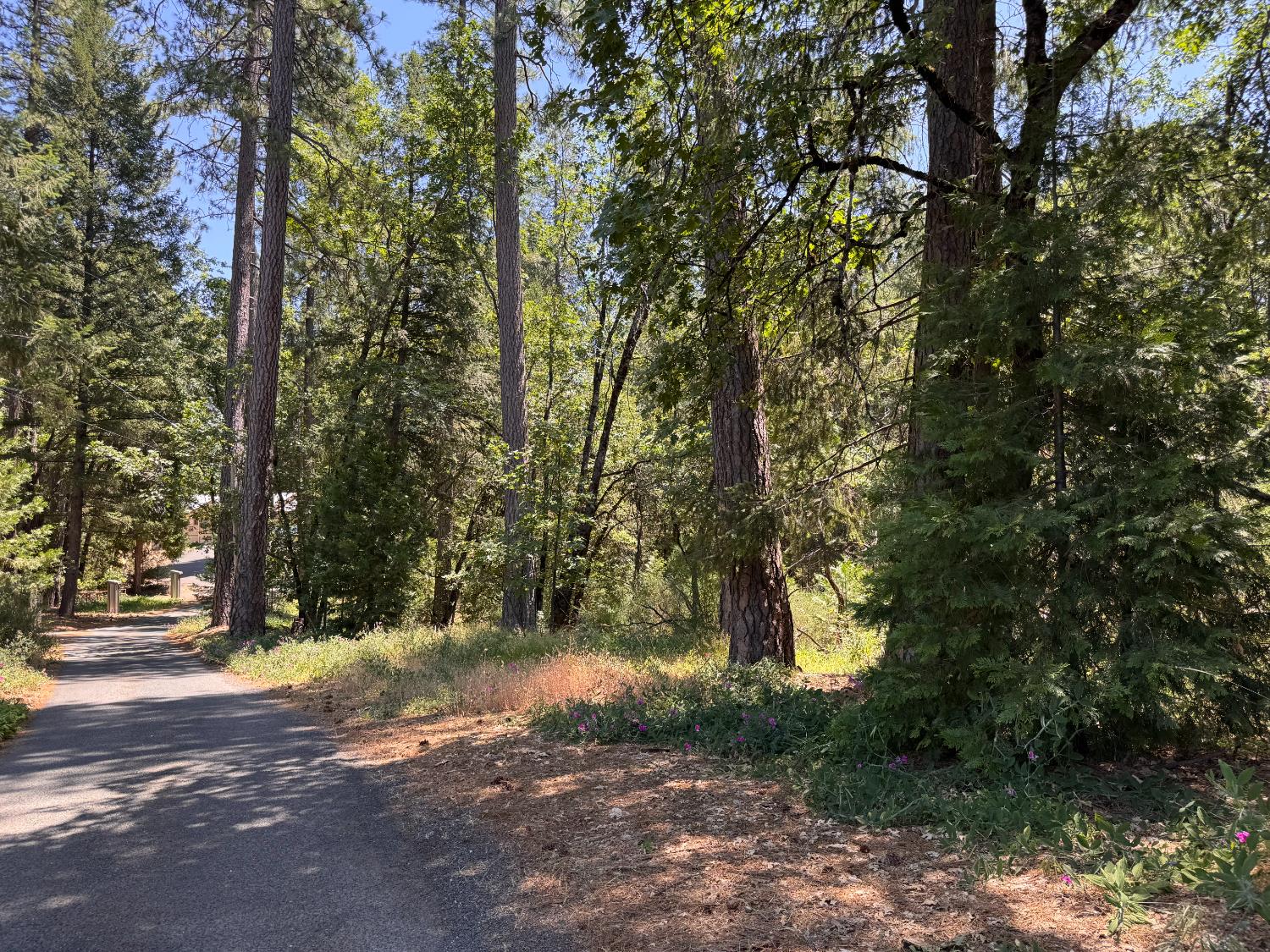 Detail Gallery Image 1 of 14 For 0 Green Acres Rd, Colfax,  CA 95713 - – Beds | – Baths