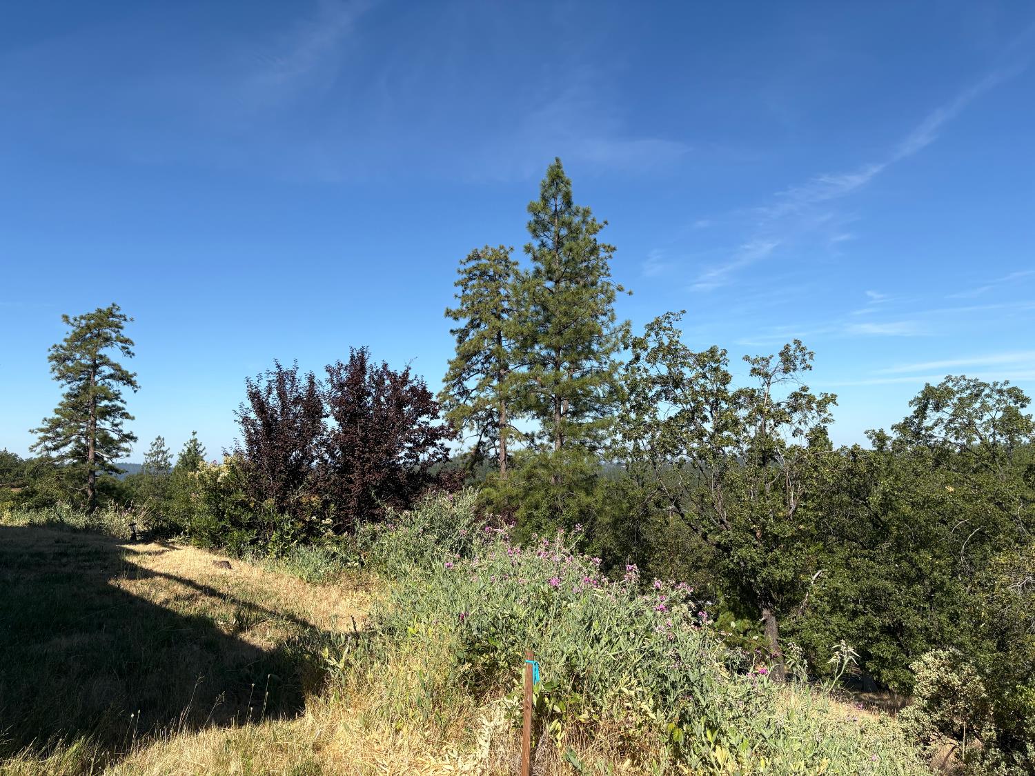 Detail Gallery Image 16 of 21 For 20790 Indian Dr, Colfax,  CA 95713 - – Beds | – Baths