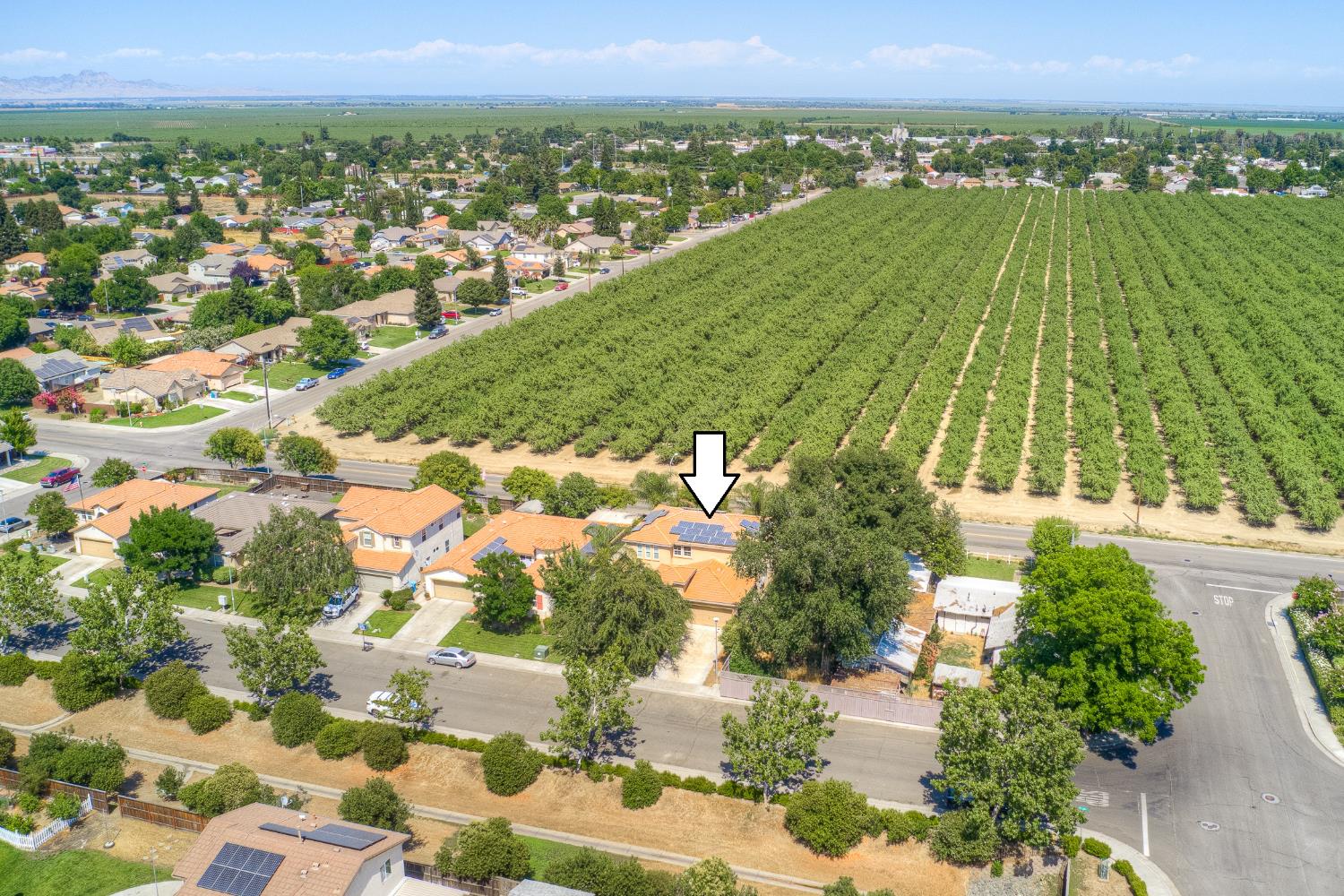Detail Gallery Image 71 of 71 For 1032 William St, Arbuckle,  CA 95912 - 4 Beds | 3 Baths