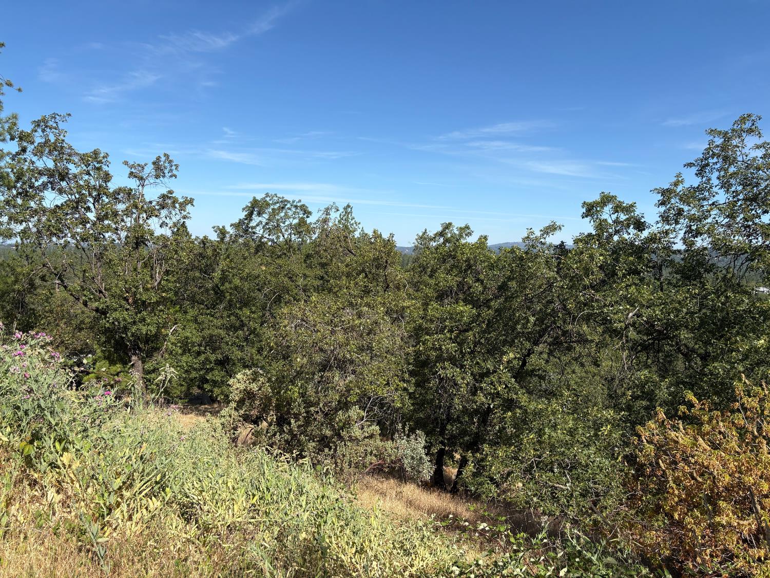 Detail Gallery Image 14 of 21 For 20790 Indian Dr, Colfax,  CA 95713 - – Beds | – Baths