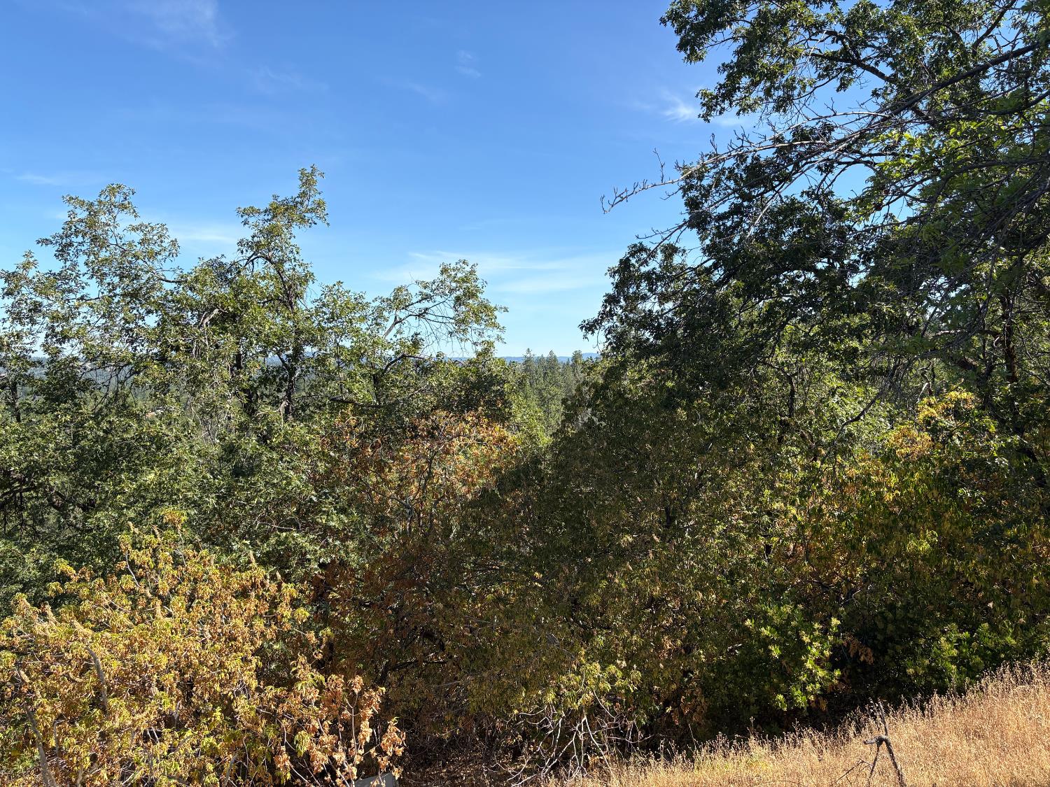 Detail Gallery Image 15 of 21 For 20790 Indian Dr, Colfax,  CA 95713 - – Beds | – Baths