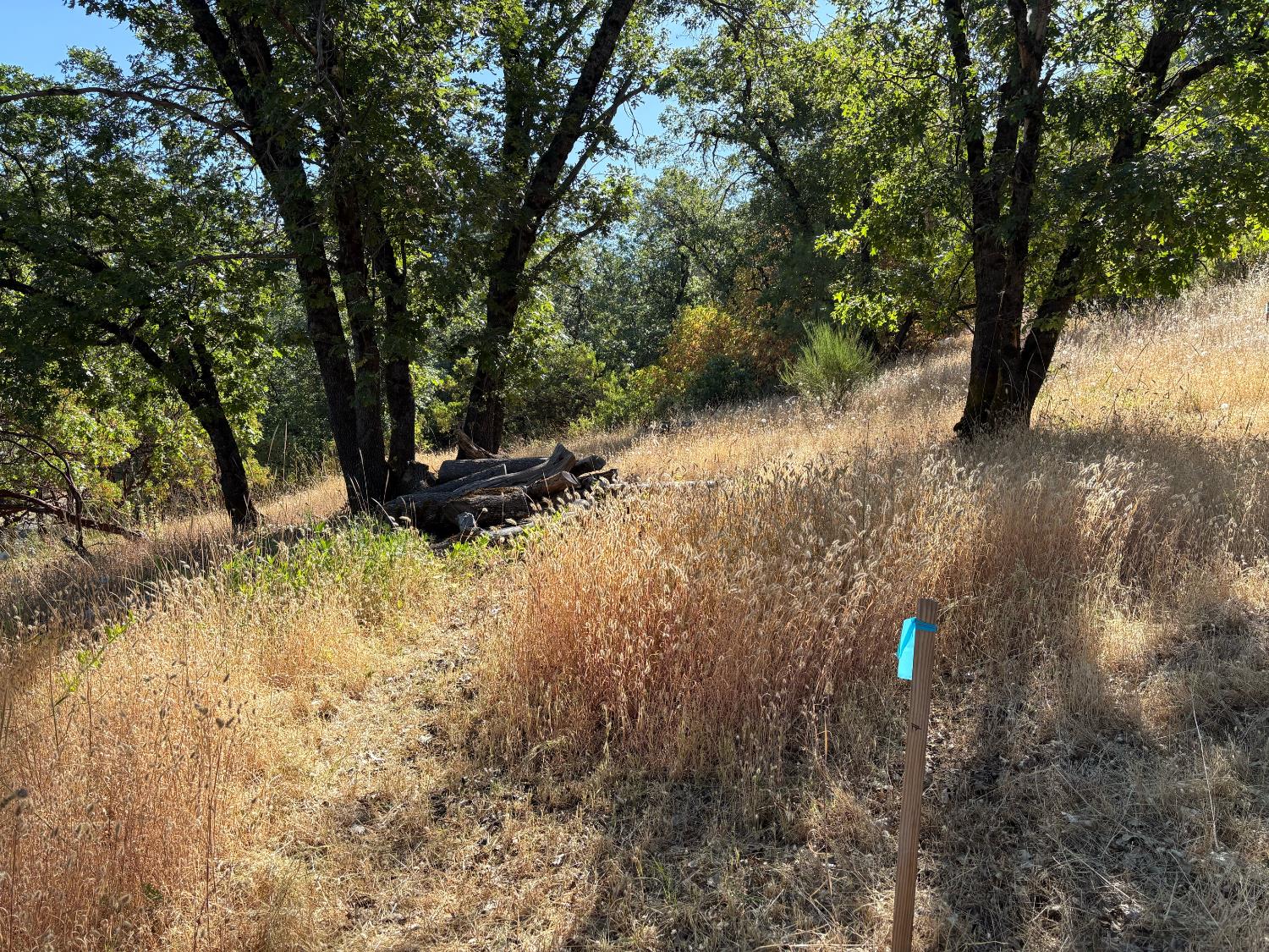 Detail Gallery Image 5 of 21 For 20790 Indian Dr, Colfax,  CA 95713 - – Beds | – Baths