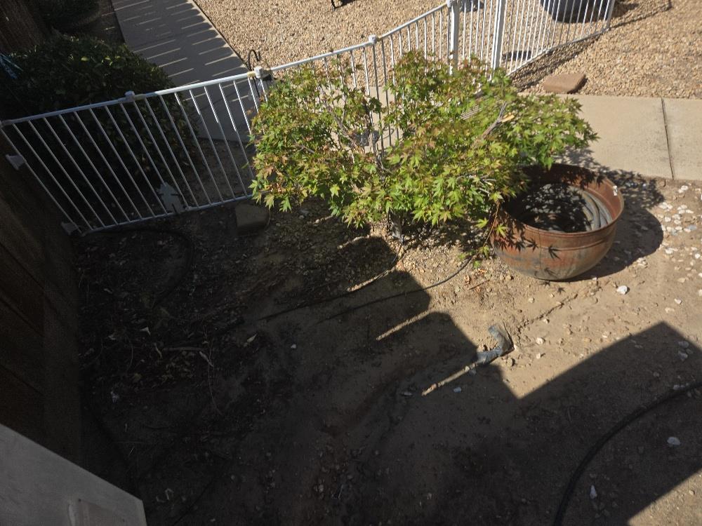 Detail Gallery Image 35 of 35 For 1400 N Tully Road 141, Turlock,  CA 95380 - 2 Beds | 2 Baths