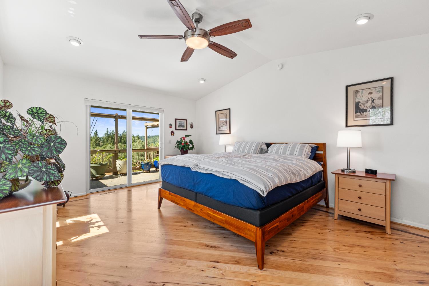 Detail Gallery Image 31 of 74 For 207 Snowberry Ct, Murphys,  CA 95247 - 4 Beds | 3 Baths
