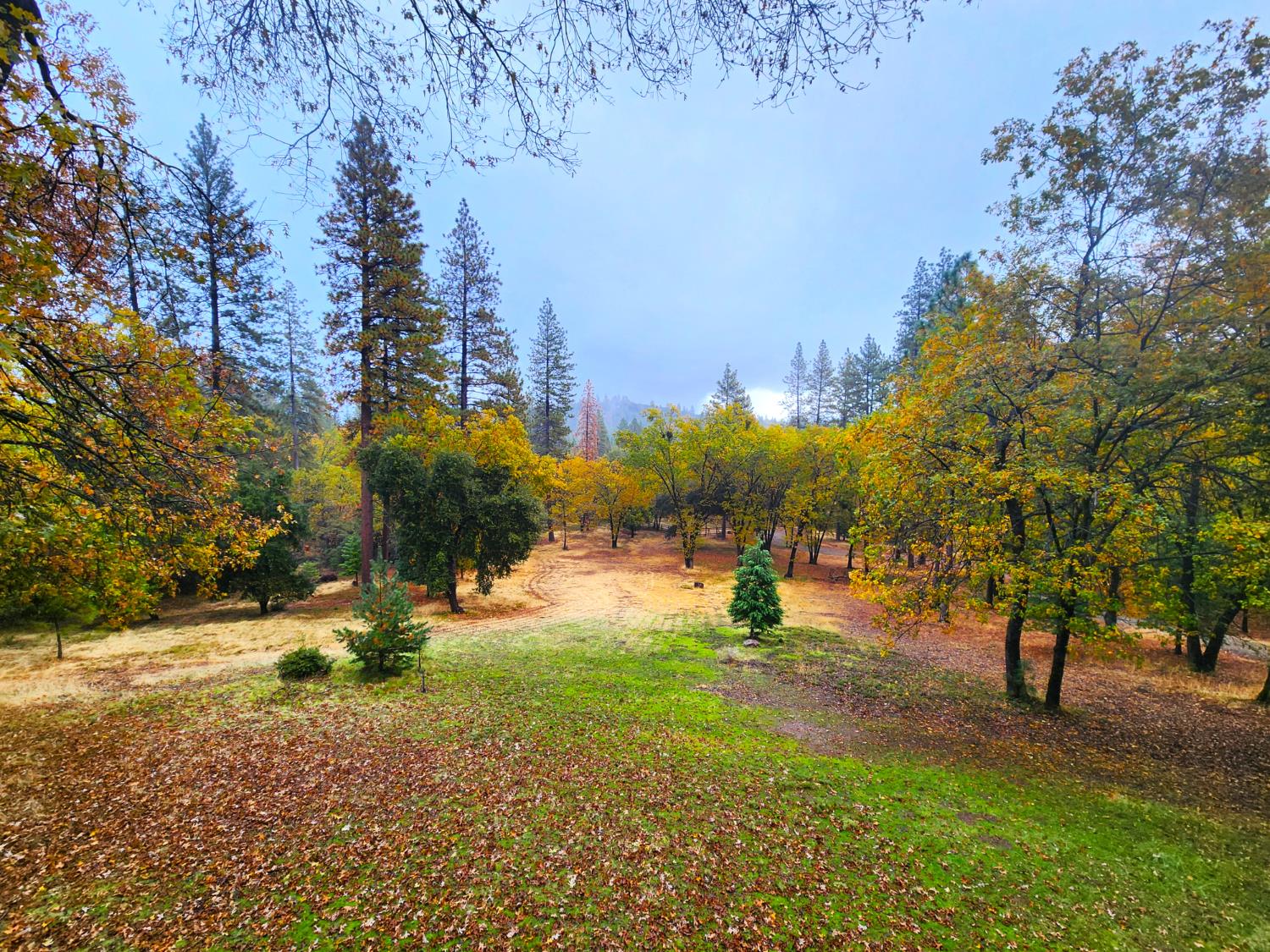 Detail Gallery Image 79 of 98 For 211 Fox Rd, Glencoe,  CA 95232 - 3 Beds | 2 Baths