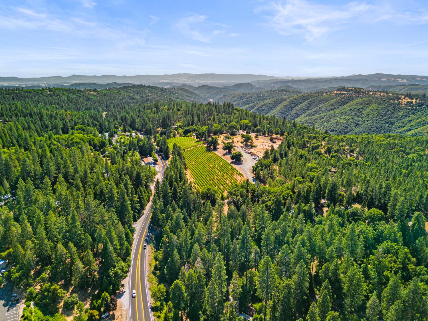 Detail Gallery Image 64 of 74 For 207 Snowberry Ct, Murphys,  CA 95247 - 4 Beds | 3 Baths