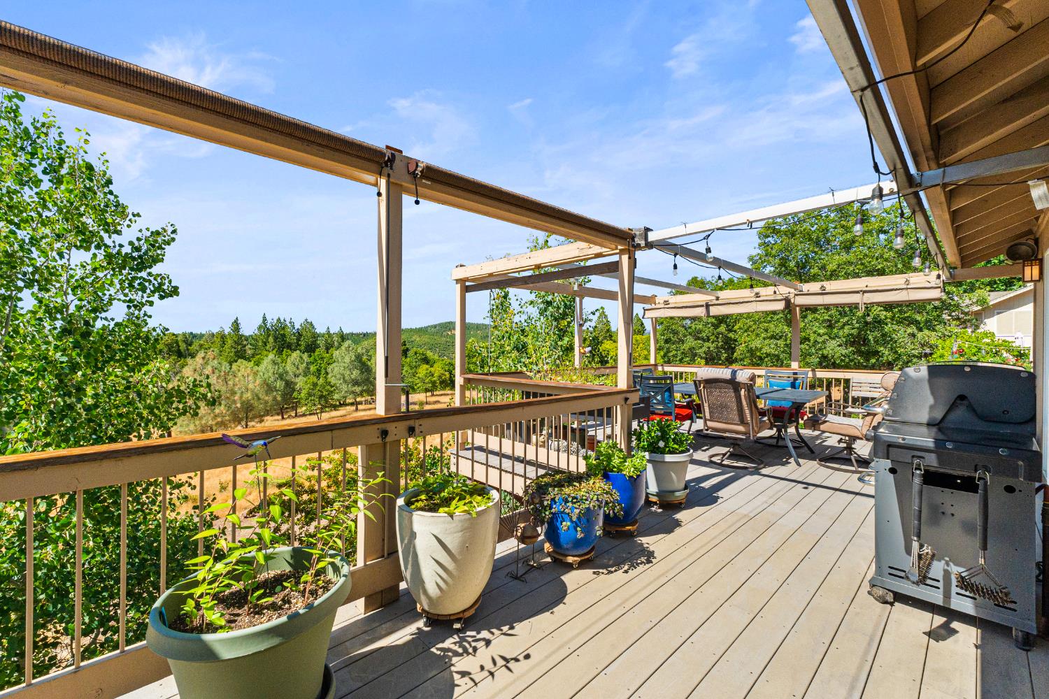 Detail Gallery Image 49 of 74 For 207 Snowberry Ct, Murphys,  CA 95247 - 4 Beds | 3 Baths
