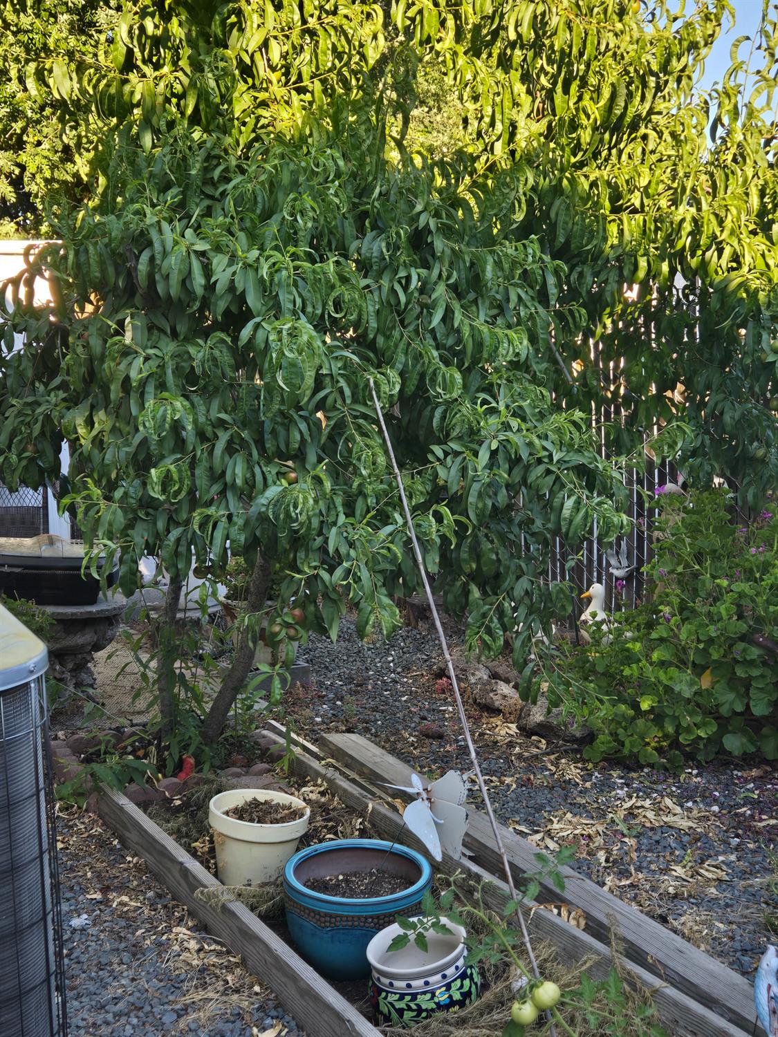 Detail Gallery Image 16 of 20 For 8700 West Ln 18, Stockton,  CA 95210 - 2 Beds | 2 Baths