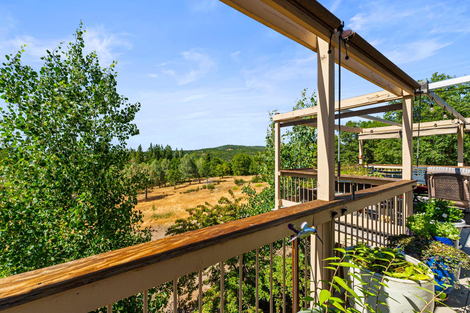 Detail Gallery Image 48 of 74 For 207 Snowberry Ct, Murphys,  CA 95247 - 4 Beds | 3 Baths