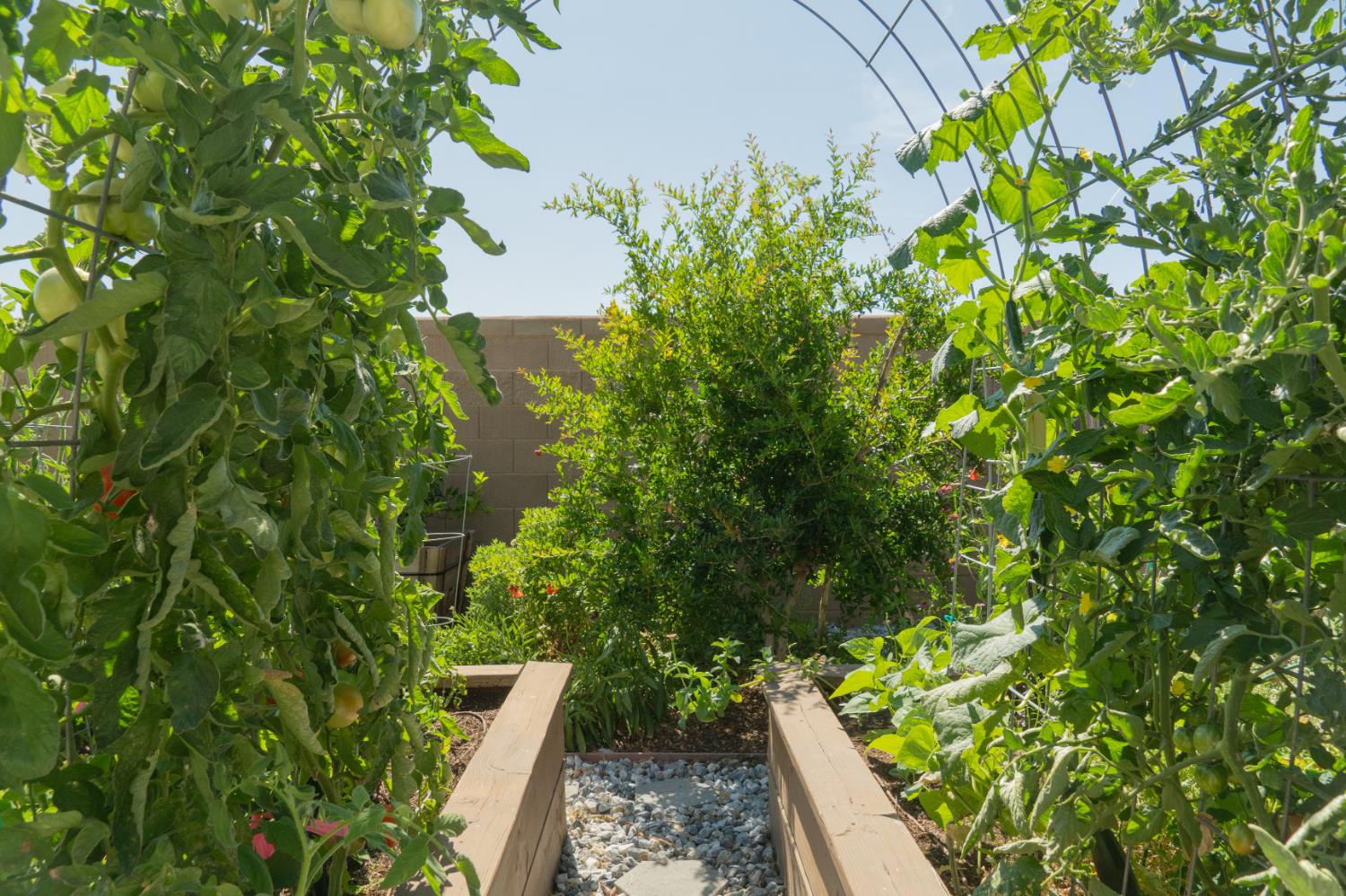 Detail Gallery Image 58 of 63 For 4479 Andrea Dr, Merced,  CA 95348 - 4 Beds | 2 Baths