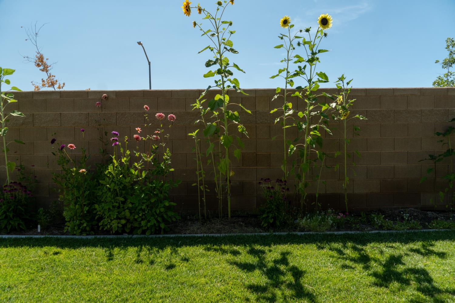 Detail Gallery Image 57 of 63 For 4479 Andrea Dr, Merced,  CA 95348 - 4 Beds | 2 Baths