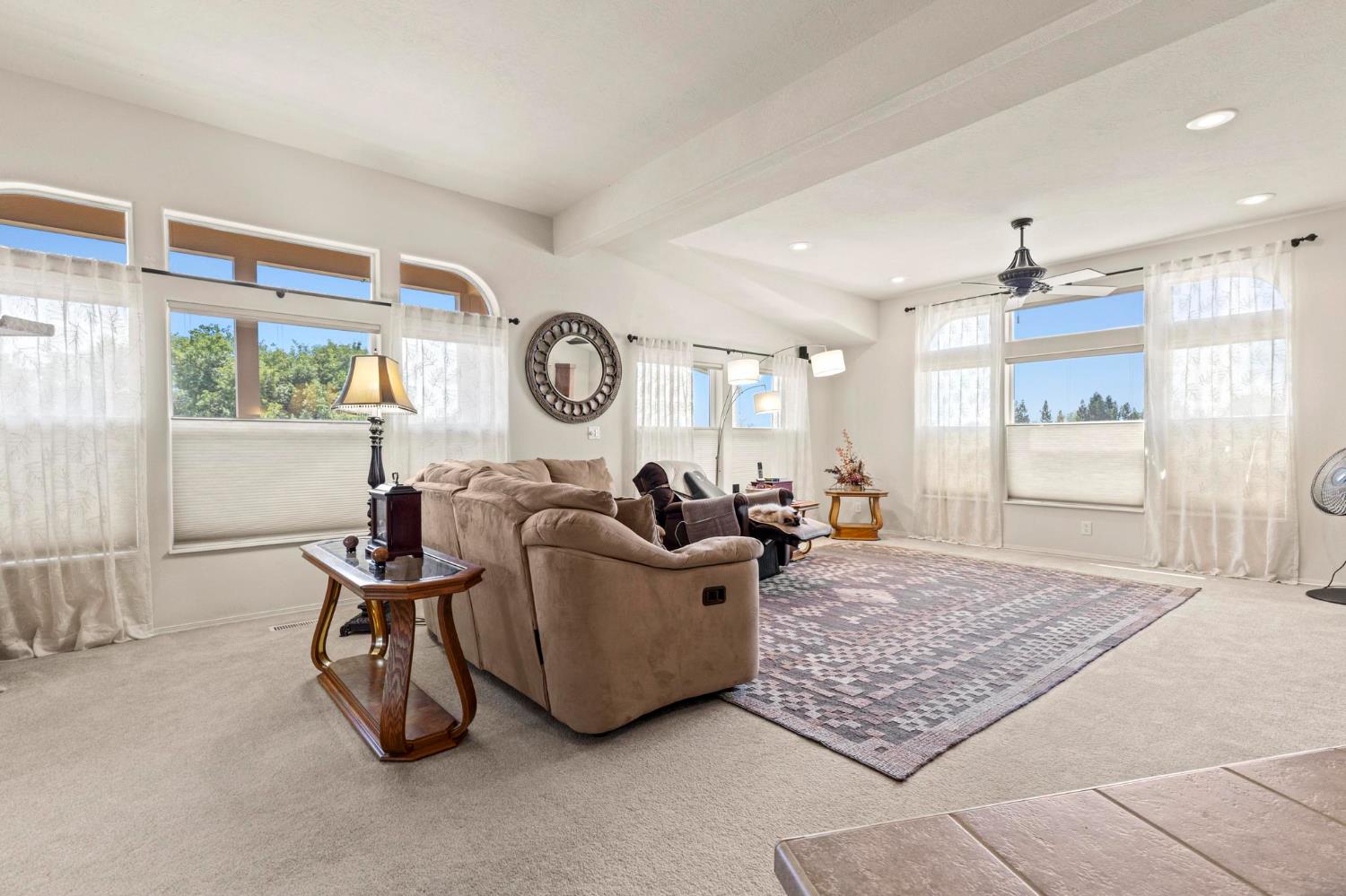 Detail Gallery Image 53 of 67 For 536 Young Ave, Arbuckle,  CA 95912 - 3 Beds | 2 Baths