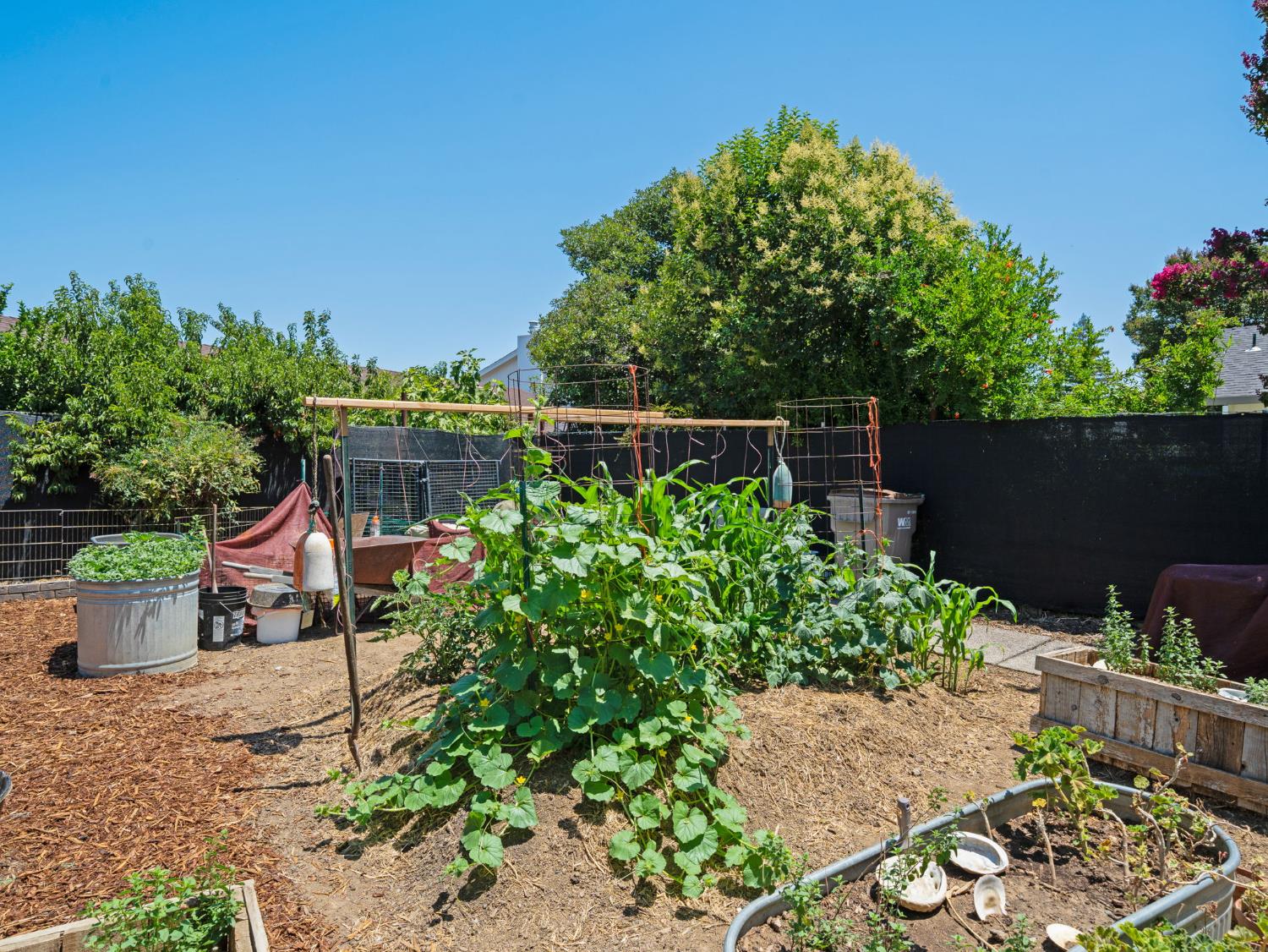 Detail Gallery Image 7 of 33 For 411 Dry Creek Ln, Winters,  CA 95694 - 4 Beds | 2 Baths