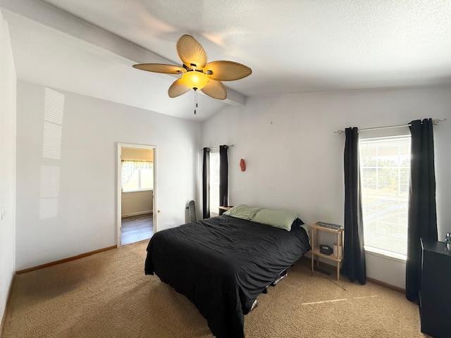 Detail Gallery Image 74 of 77 For 1137 Apricot Ave, Patterson,  CA 95363 - 3 Beds | 3/1 Baths