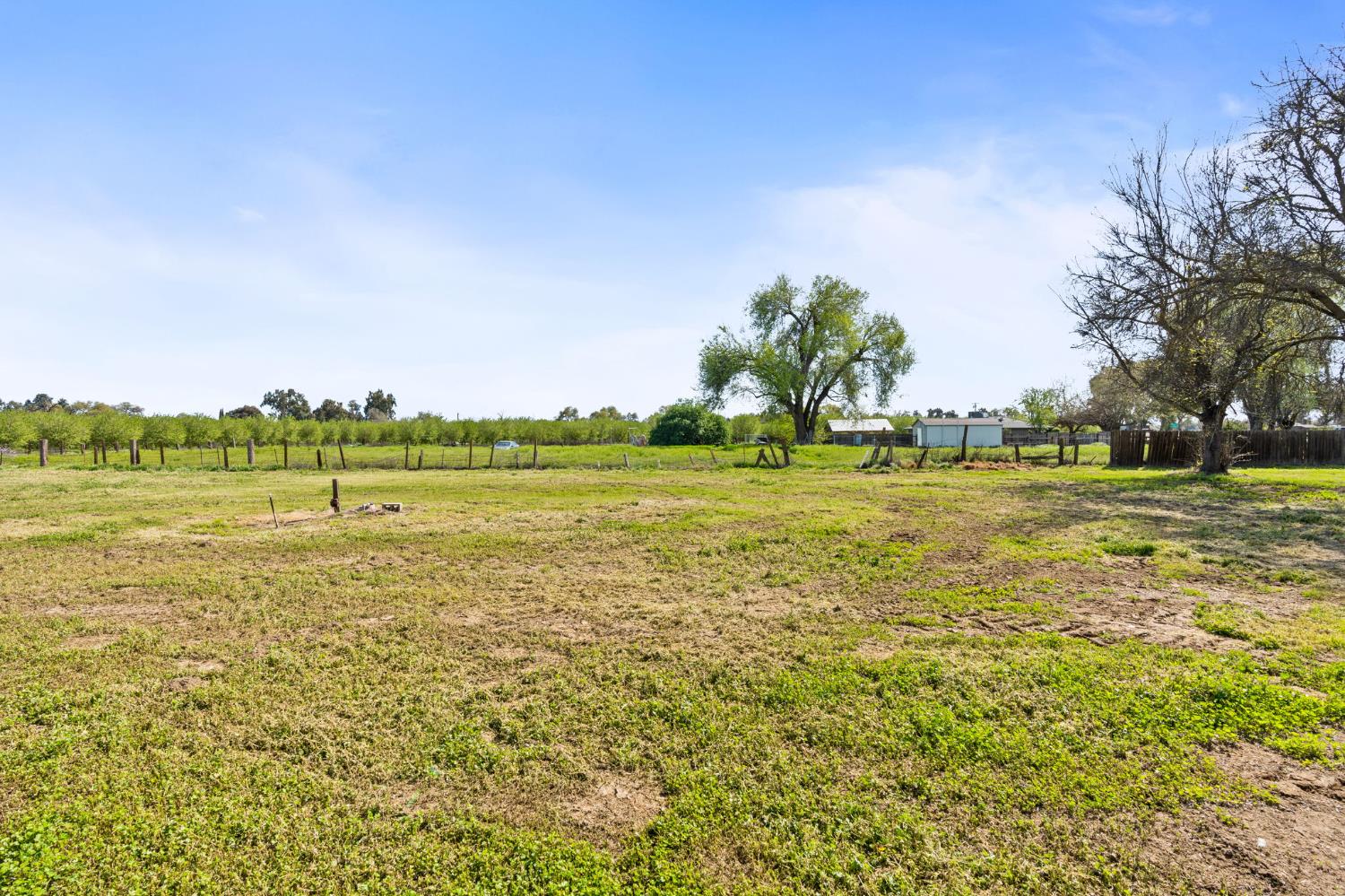 Detail Gallery Image 38 of 41 For 7305 Highway 41, Lemoore,  CA 93245 - 4 Beds | 2/1 Baths