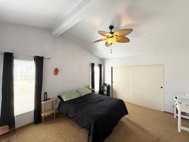 Detail Gallery Image 75 of 77 For 1137 Apricot Ave, Patterson,  CA 95363 - 3 Beds | 3/1 Baths