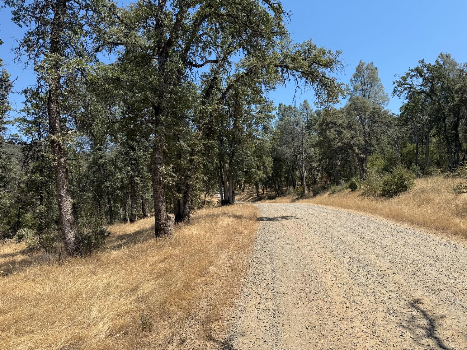 Rancheria Creek Road, Midpines, California image 8