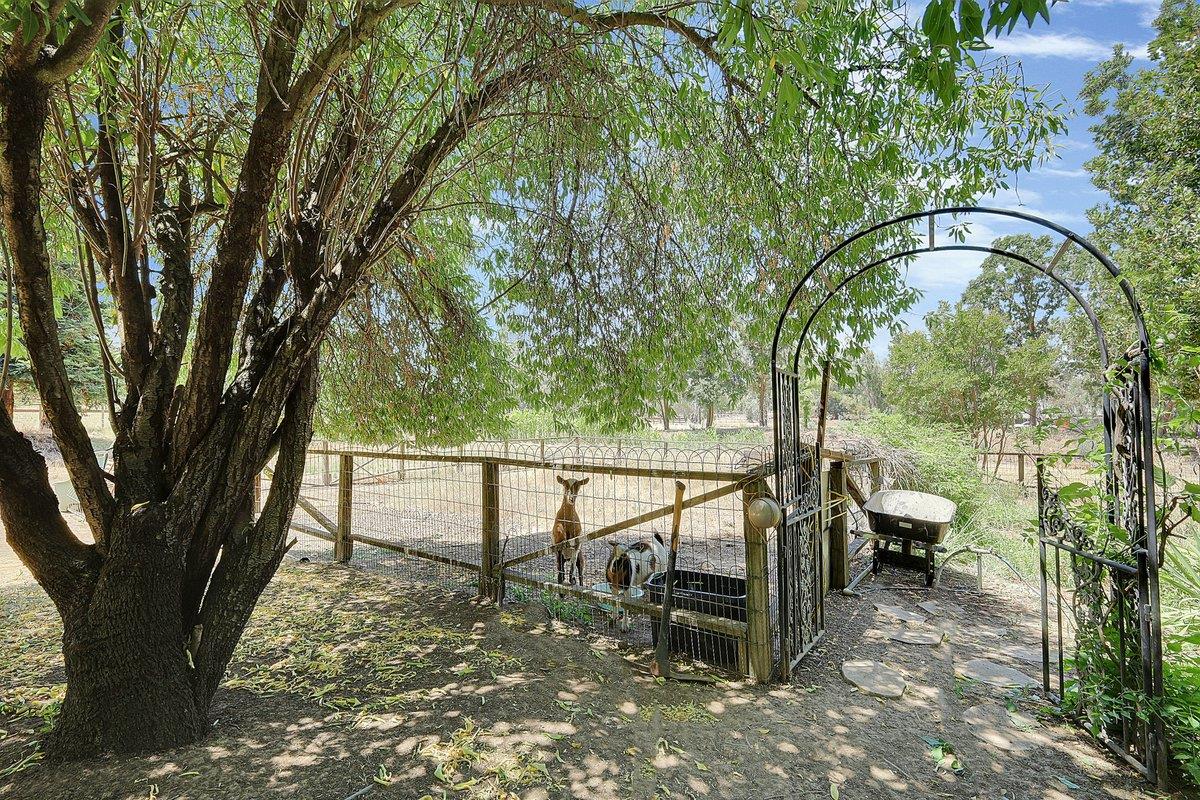 Detail Gallery Image 52 of 58 For 10307 Alta Mesa Rd, Wilton,  CA 95693 - 3 Beds | 2/1 Baths