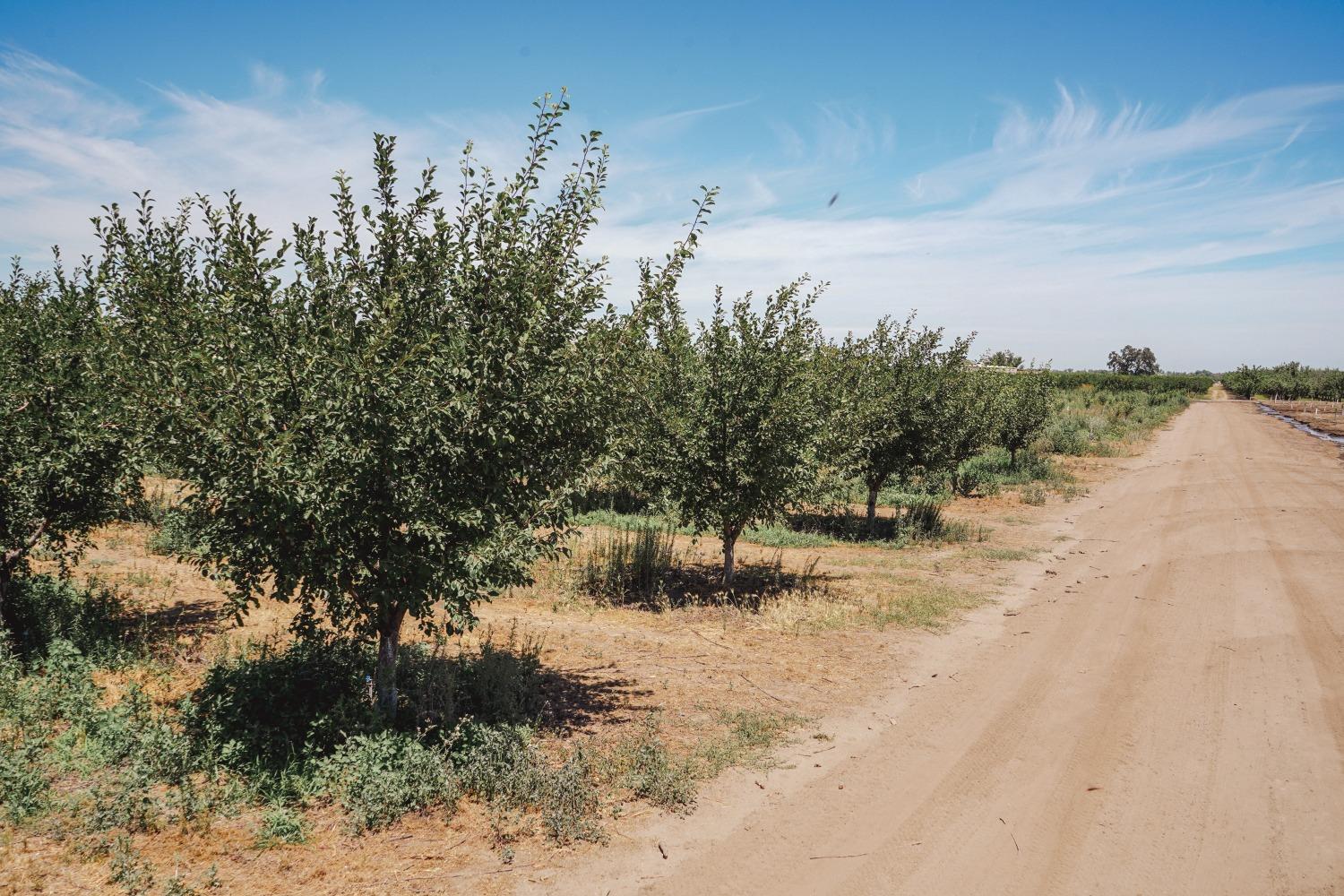 Ingram Lane, Live Oak, California image 2