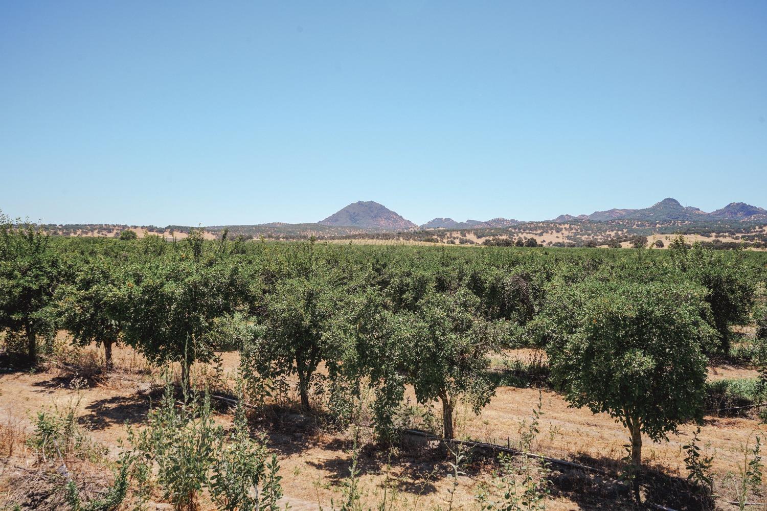 Ingram Lane, Live Oak, California image 11